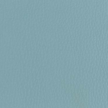 Δερματίνη BO3-XR-919